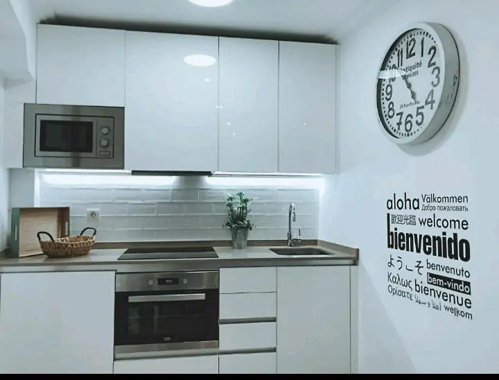 Appartement Mirador Catedral De Santiago à Bilbao Séjour chez l'habitant