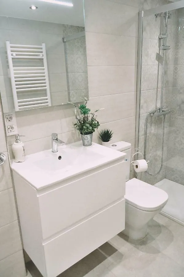 Appartement Mirador Catedral De Santiago à Bilbao Espagne